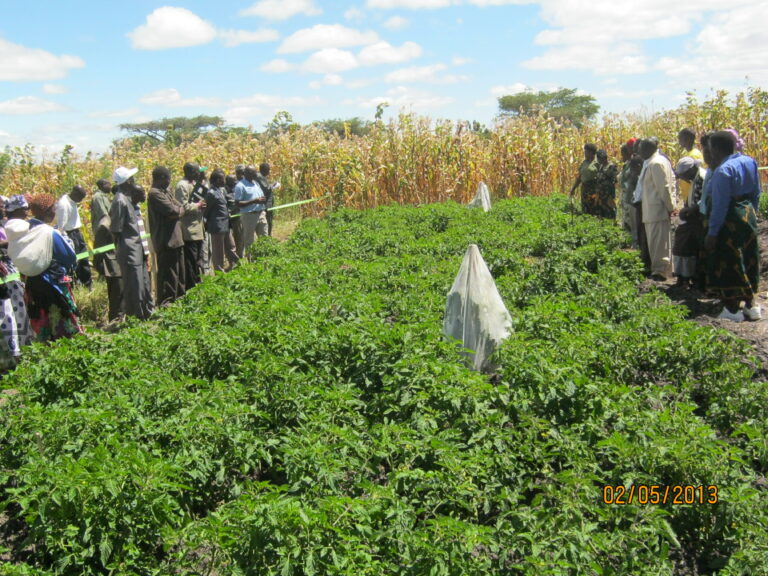Farmer mobilization and group´s formation Promoting Good Agricultural Practices (GAP)