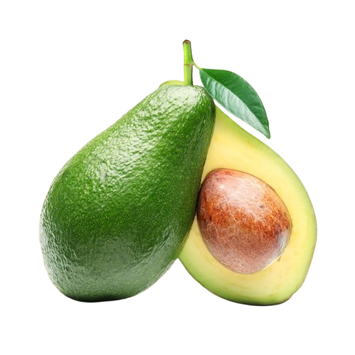 Avocado grown by NADO smallholder farmers