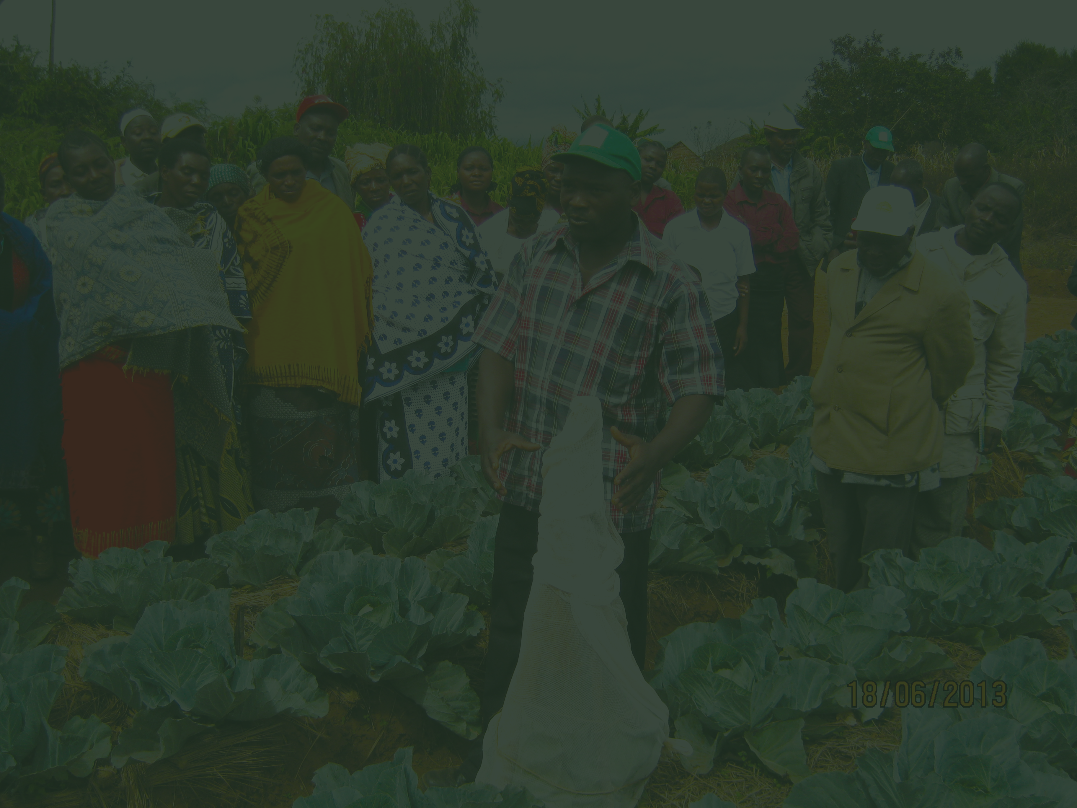 Training small holder farmers